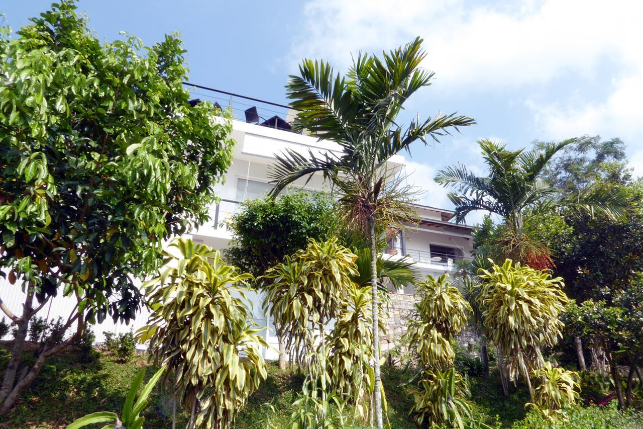 390 Villa Vista Kandy Extérieur photo